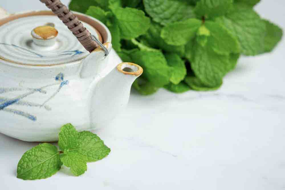 mint health benefits