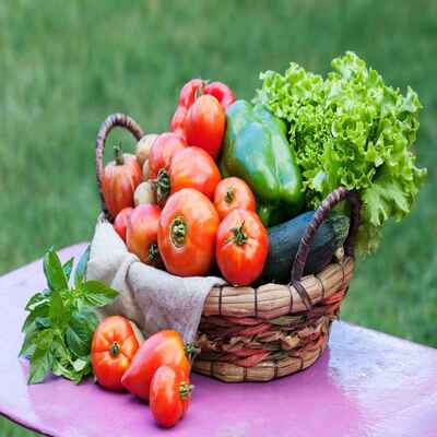 Imagine picking fresh fruits, veggies, or herbs right from your garden! We’ll help you grow your own food, whether it’s in your backyard or on your balcony. With our easy tips, you can enjoy homegrown, healthy produce every day.